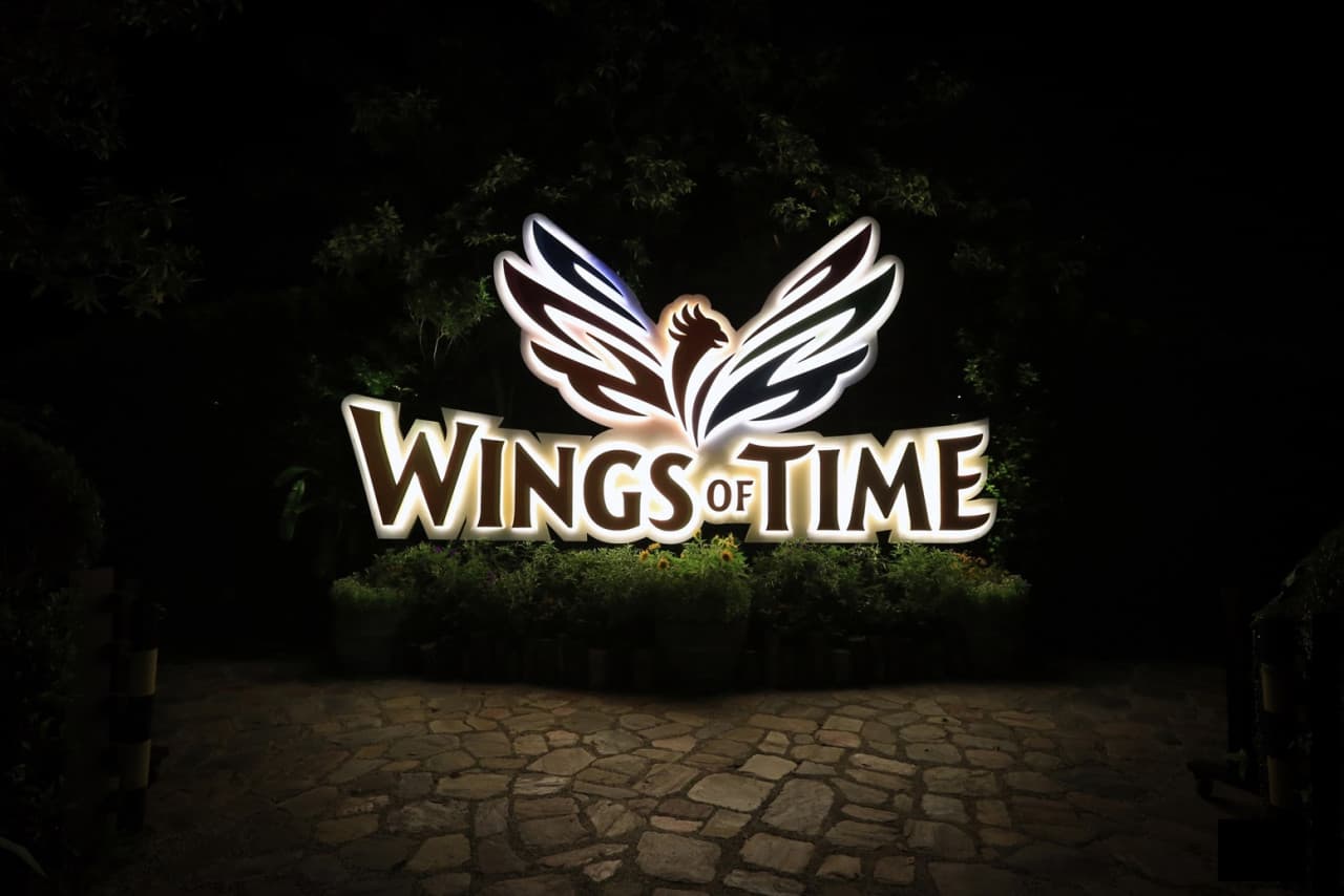 Wings of Time Fireworks Symphony Ticket - image 13